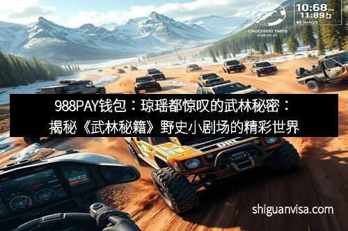 988PAY钱包：琼瑶都惊叹的武林秘密：揭秘《武林秘籍》野史小剧场的精彩世界
